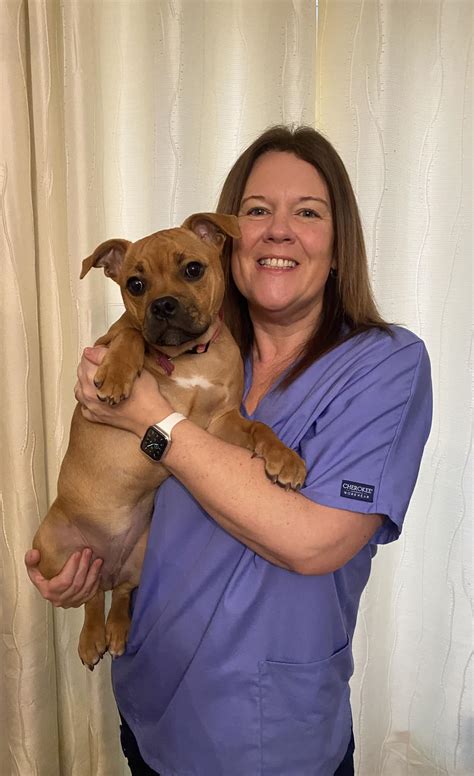 Vets4Pets Launceston .